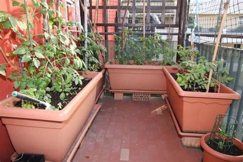 Several Potted Plants Are Sitting In The Corner Of A Small Patio Area