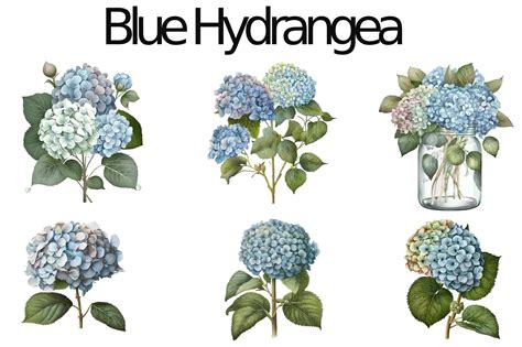 Watercolor Blue Hydrangea Sublimation Graphic By Watercolorbykr