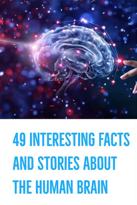 49 Interesting Facts And Stories About The Human Brain Human Brain