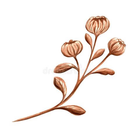Background Flower Sprig White Stock Illustrations 4574 Background