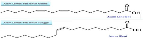 Perbedaan Asam Lemak Jenuh Dan Tak Jenuh Ujian