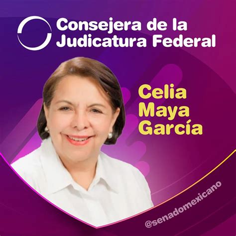 Quién Es Celia Maya La Morenista Y Nueva Integrante Del Consejo De La Judicatura Federal Infobae