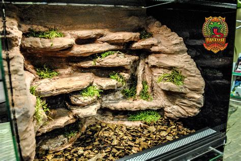 Diy Bearded Dragon Enclosure, Bearded Dragon Diy, Bearded Dragon ...