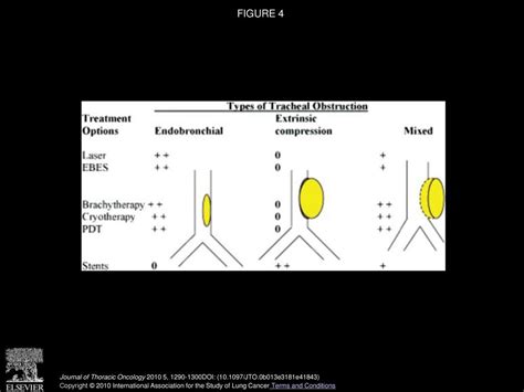 Pyng Lee Md Henri G Colt Md Fccp Journal Of Thoracic Oncology