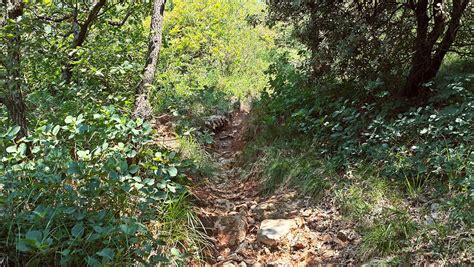 sentiero 3 bosco 19 sentieri curiosità informazioni sul Monte