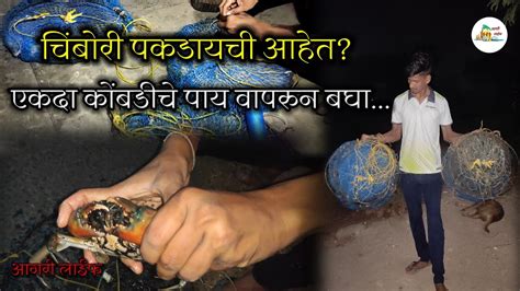 रात्री १ वाजता पकडली चिंबोरी रात्रीची मज्जा Crab Catching Night