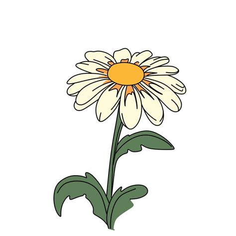 3 Instructions On How To Draw A Simple Daisy