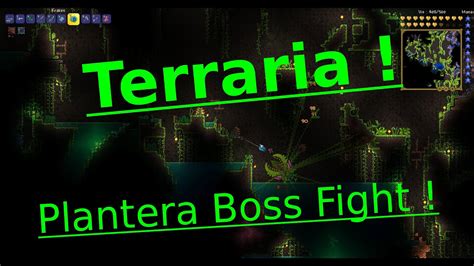 Terraria Plantera Boss Fight Youtube