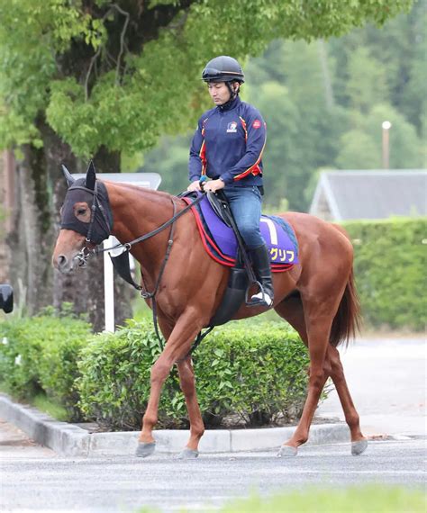 【盛岡12r・マイルチャンピオンシップ南部杯】ジオグリフ 砂で復活v スポニチ競馬web