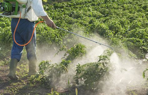 Herbicide Exposure Symptoms Jan Dils West Virginia Attorneys