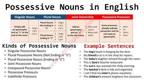 Possessive Nouns Definition Rules Usage And Examples • Englishilm