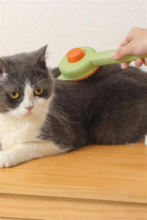 Escova Removedora de Pelos é uma ferramenta indispensável para quem tem