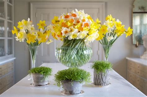 Daffodil Arrangements and Bouquet Ideas