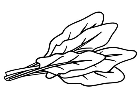 Spinach For Free Coloring Page Download Print Or Color Online For Free