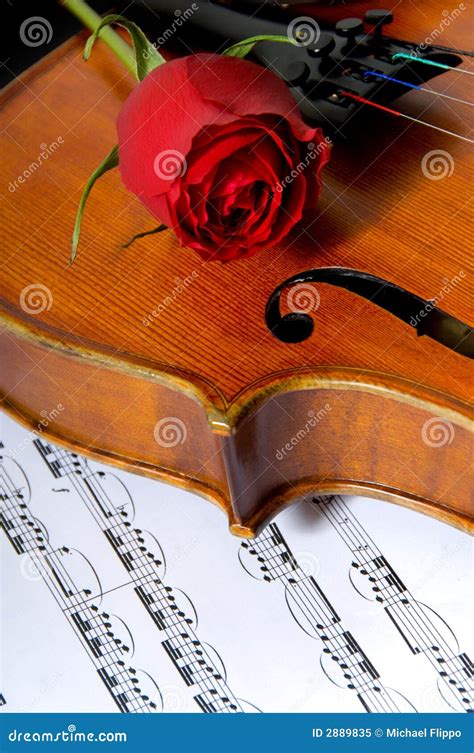 Violin Rose And Sheet Music Stock Image Image Of Musical Hole 2889835