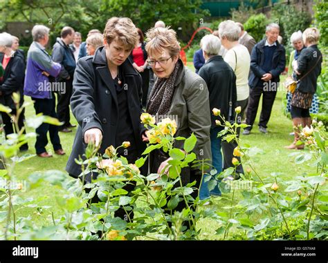 10 Downing Street garden Stock Photo - Alamy