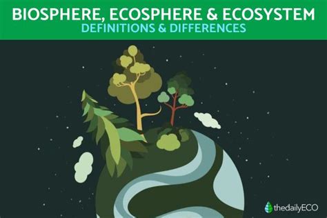 The Difference Between Biosphere Ecosphere And Ecosystem Definition