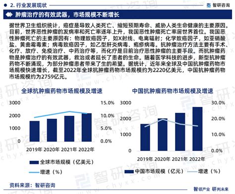 2025 2031年中国抗肿瘤药物行业市场全景评估及发展策略分析报告智研咨询