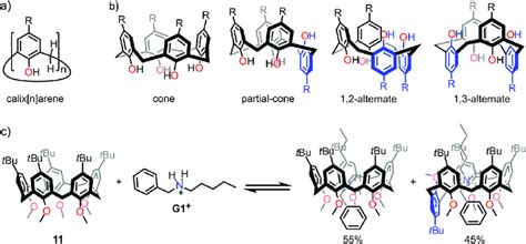 Chemical Structures Of A Calix N Arene And B The Four Conformations