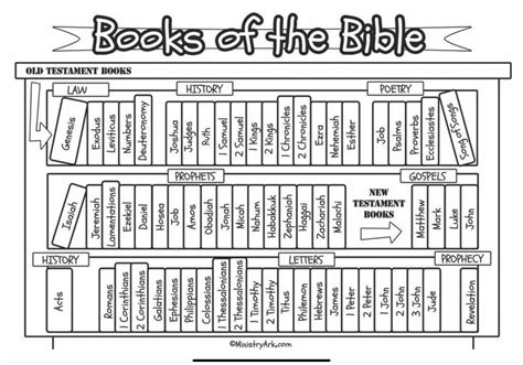 New Testament Books Of The Bible Worksheets