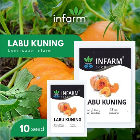 Jual INFARM Benih Bibit Biji Super Labu Kuning Shopee Indonesia