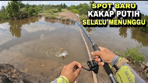 MANCING IKAN KAKAP PUTIH DI SPOT BARU YouTube