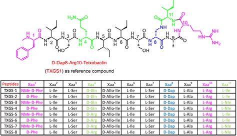 New Teixobactin Analogues With A Total Lactam Ring ACS Medicinal