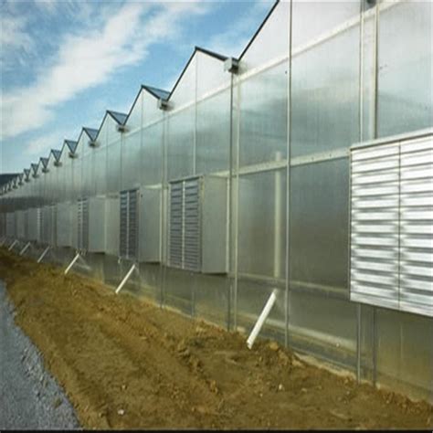 Polycarbonate Sheet Covering Greenhouse Hydroponic Venlo Multi Span