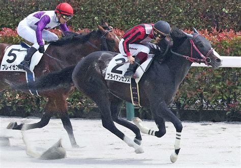 【毎日ベスト3】東西デスクが厳選！18日日曜のワイド1点勝負ベスト3 毎日ベスト3 競馬コラム写真ニュース 日刊スポーツ