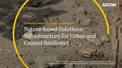 Nature Based Solutions Bringing Nature Into The Built Environment For