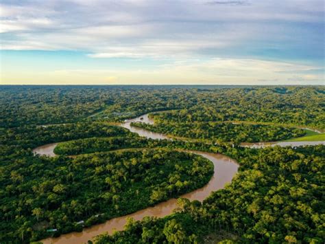 Sabías que el río Amazonas tiene ocho récords mundiales Billiken