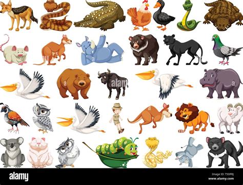 Set of wild animals illustration Stock Vector Image & Art - Alamy