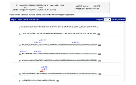 Mir 1 Inhibition As The Model Strain And Hsp60 As The Target Gene For