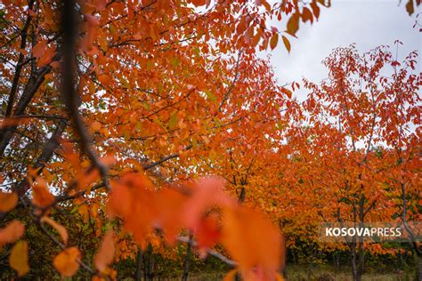 Weather Forecast Kosovapress