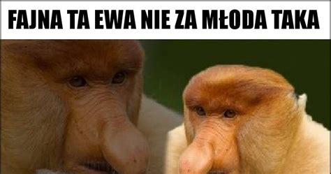 Fajna Ta Ewa Nie Za M Oda Taka Memy Gify I Mieszne Obrazki Facebook