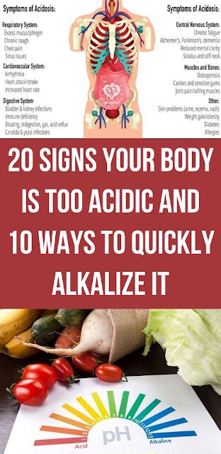 20 Signs Your Body Is Too Acidic And 10 Ways To Quickly Alkalize It