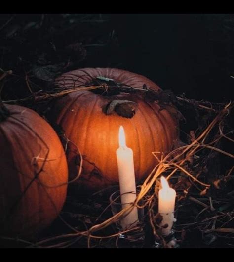 Pin By Eleniaki Violet On Samhain Halloween Pumpkins Pumpkin Carving