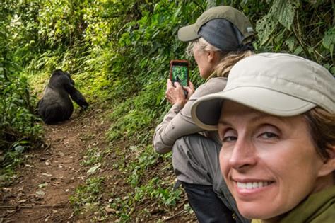 Gorilla Trekking In Bwindi National Park Accommodation Price And Cost