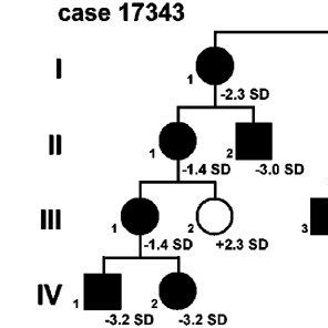 Pedigrees Of The Familial Cases 18 712 And 17 343 Affected Individuals