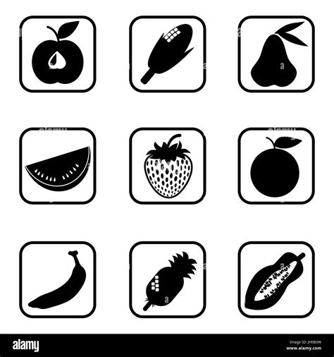 Fruit Icons On White Background Vector Illustration Stock Vector Image And Art Alamy