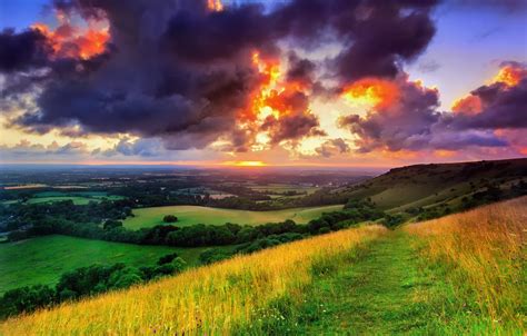 Wallpaper Greens Field The Sky Grass The Sun Clouds Trees