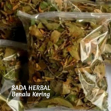 Jual Teh Benalu Dari Pohon Randu 100 Gram Siap Rebus Shopee Indonesia