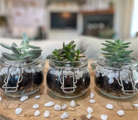 How To Create An Adorable Succulent Terrarium The Perfect Diy T Idea Ames Farm Center