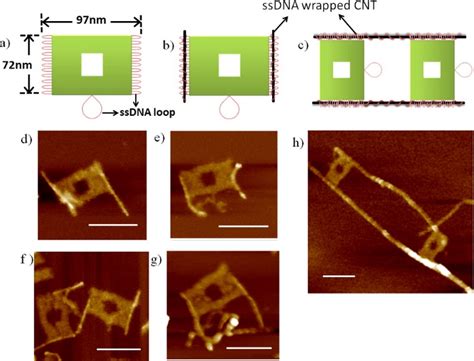 Schematic Representations And Afm Images Of Structures Fabricated With