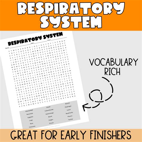 Respiratory System Word Search