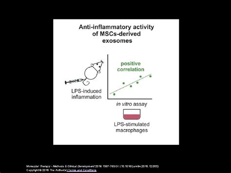 In Vitro Macrophage Assay Predicts The In Vivo