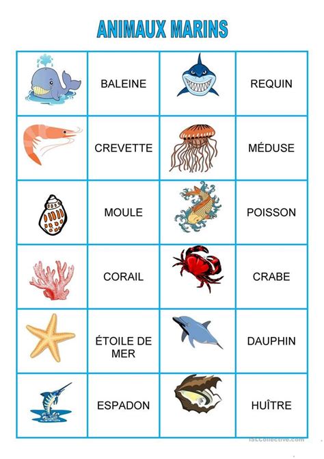 Jeux Animaux marins Animaux marins Imagier animaux Jeux de mémoire