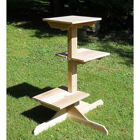 20 Cat Trees For Outdoors Homedecorish