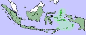 Maluku Islands - New World Encyclopedia