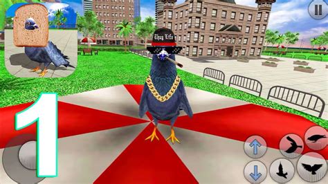 City Bird Pigeon Simulator Gameplay Walkthrough Part 1 Iosandroid